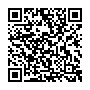 这如果是其他炼药师在这种情况下估计就要完了二维码生成