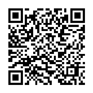 这妖丹能够提供的力量于唐劫而言根本就是沧海一黍二维码生成