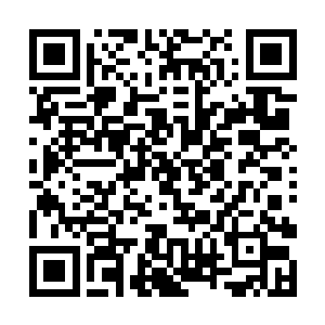 这妖兽的战斗力差不多就在云桃能够承受的范围之内二维码生成