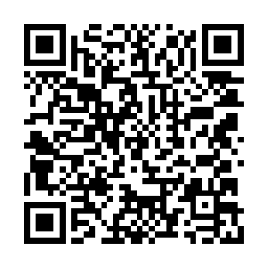 这妖界比起主星山脉之中的妖兽还要安全很多呢二维码生成