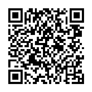 这姜巧便是受了刚才出声阻止荣亲王出手的那位钱老的指示二维码生成