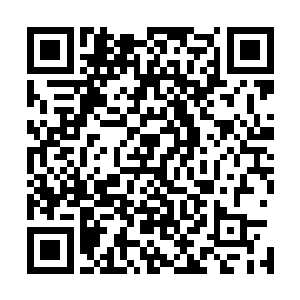 这姬英竟然身后显现出一面模糊呈蓝色巨虎之形的狴犴相势二维码生成