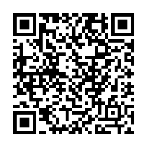 这婆媳两人的官司还有得打呢如今只不过刚开场罢了二维码生成