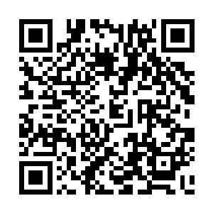 这学期大部分时间可能会呆在国画社团搞一搞画二维码生成