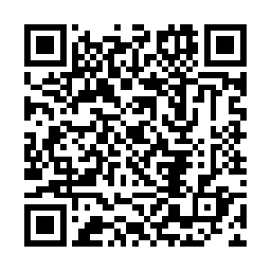 这完全不应该是一个人尊初期大修士能够具备的威能二维码生成