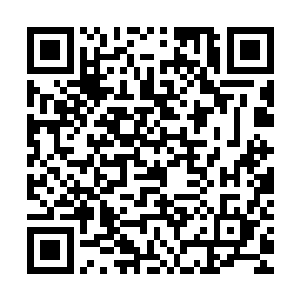 这完全就像一个成年人在欺负暴打一个刚刚学会走路的小孩一样二维码生成
