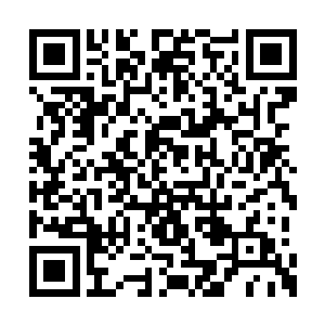 这完全就是这位大精灵王独自一人撑起来的结果二维码生成