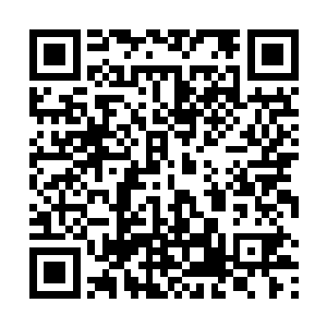 这完全弥补了五脉仙侣中的薄弱环节――芊芊道业最强二维码生成