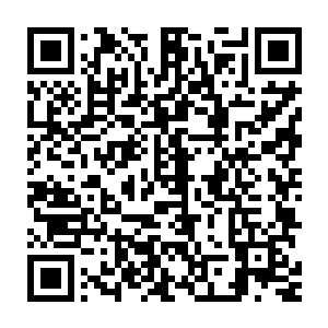 这完全是杨九因为秘术的反噬造成的损伤……他那本来就虚弱的身躯二维码生成