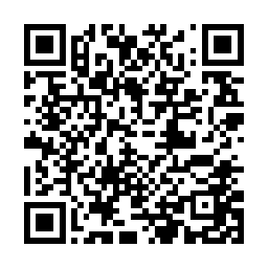 这完全要归功于公司里那些n世祖和背后太太团的能量二维码生成