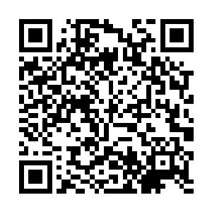 这宛如图书馆一样的书房中的典籍绝对是经常翻阅的二维码生成