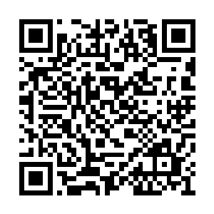 这实际上就等于说孙子轩在这一关上已经过去了二维码生成