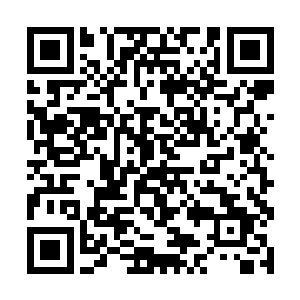 这家丁大概是被小婵支使着一路过来当跟班和保镖的二维码生成