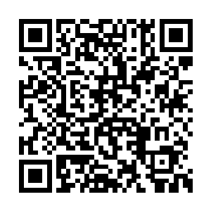 这家伙不知道会不会继续的分裂成两头地心天狼二维码生成