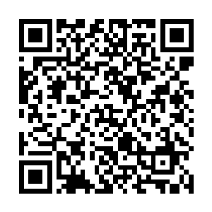 这家伙之前信誓旦旦说要去不回关捣毁十座王主级墨巢二维码生成
