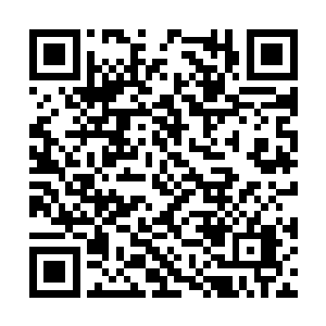 这家伙又将山口组的各位大佬全部聚集到佐佐山庄二维码生成