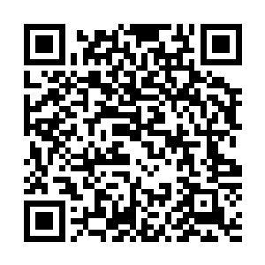 这家伙在几天之前足以将四名入圣境界的对手打得毫无胜算二维码生成