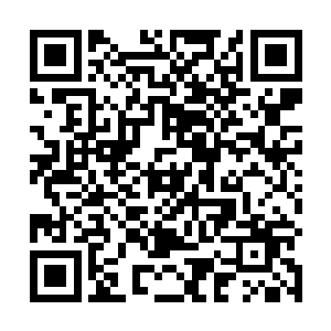 这家伙大概是力量的大幅度提升倒是给了他很大的自信二维码生成
