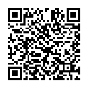 这家伙居然已经吞了数十条六阶和七阶的锦斑鲨鱼入腹二维码生成