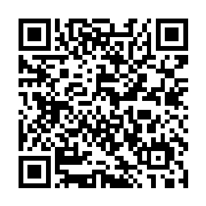 这家伙据说是唯恐马文的小身板扛不住邪灵们的蹂躏二维码生成