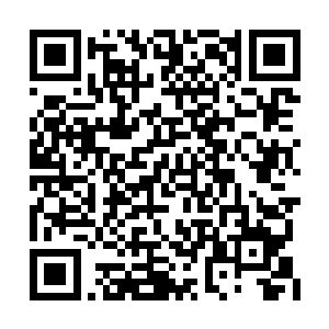 这家伙此刻不就是想用自己的小鬼来医治僵尸么二维码生成