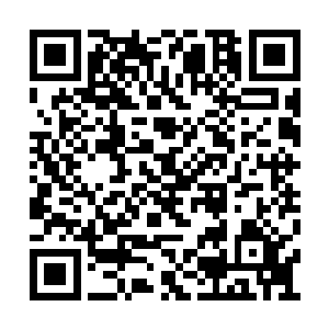 这家伙的来头和底蕴只怕是超乎他们想象的大啊二维码生成