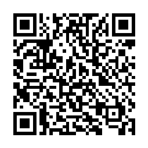 这家伙的表现跟一个深谙人情世故的人族没什么区别二维码生成