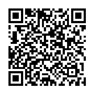 这家伙真的很逆天啊……当初巫师联盟如果不是有修炼了二维码生成