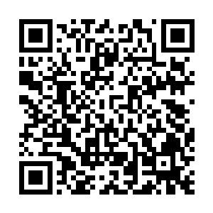 这家伙能够辗转在多个国家走私物品靠得可是一流的嗅觉二维码生成