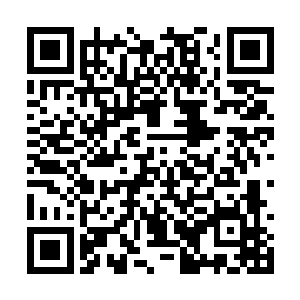 这家伙虽然表面上只是个传奇夜行人兼职火线枪手二维码生成