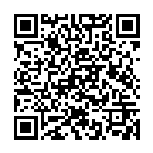 这家伙要是将环绕山峰的禁制破掉……那就太棒了二维码生成