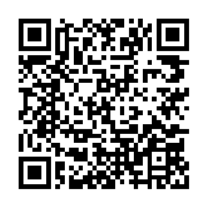 这家伙跟下一任门主呼声最高的洪象齐走的很近二维码生成