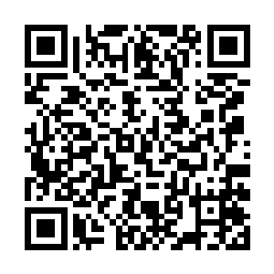 这家的主人在公开挑衅小偷这份古老而又神圣的职业二维码生成
