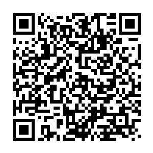 这家的人类少年在第二天经过的时候愉快的朝托尼老板问候了早安二维码生成