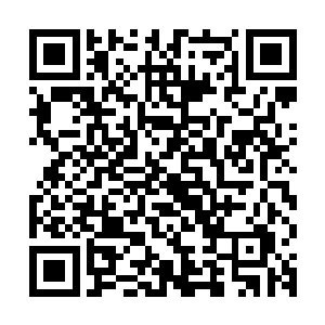 这容貌和气质比之前世仙界的第一美女嫦娥也有过之而无不及了二维码生成