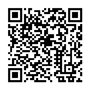 这寒冰巨人的实力绝对已经达到了波塞冬或者女娲这种层次二维码生成