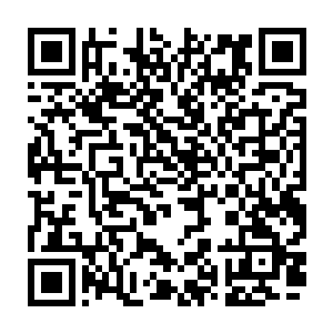 这对一个门派特别是向他们一个超级门派来说这就等于拥有了一个超级作弊器二维码生成