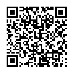 这对于古神界或者九重天仙家的漫漫岁月人生路而言二维码生成