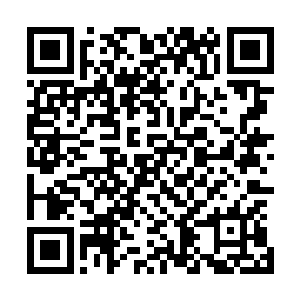 这对于布拉德未来的整个演员生涯规划都有十分重要的作品二维码生成