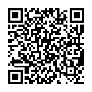 这对于布拉德未来的长远发展无疑是一个巨大的损失二维码生成