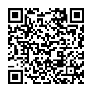 这对于提升项目的竞争力和利润率都是一个不容小觑的因素二维码生成