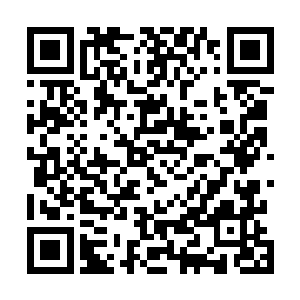 这对于整个桑巴国的贵族阶层來说　这可是一个重磅消息二维码生成
