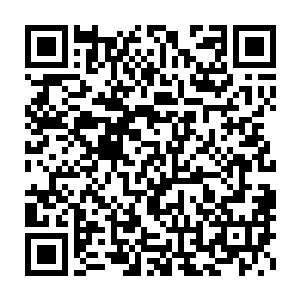 这对于电影来说绝对是有利无害的――他不介意雨果客串那么一两场戏二维码生成