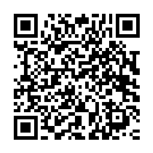 这对于立志在三十岁之前晋升副处的卢向东肯定是个不小的打击二维码生成