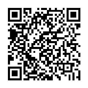 这对以严苛著称的神文师公会考官而言是极为难得了二维码生成