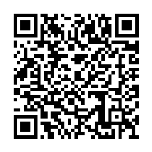 这对华夏九计划中团结一切道魂界可团结的力量二维码生成