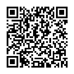 这对金利坚家族的所有长老心中都带来了非常强烈的冲击二维码生成