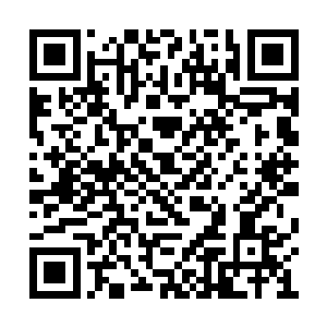 这对闻人牧月来说实在不是什么难以获得的资讯二维码生成