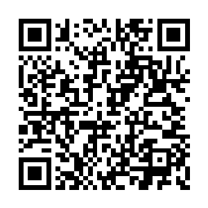 这尊泰坦只能发挥自由女神像一般的效果了……二维码生成