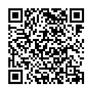 这小丫头就只看他使用了一招就……要不要这么打击人啊二维码生成